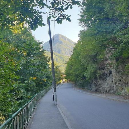 Apartament Casa Arion Băile Herculane Zewnętrze zdjęcie