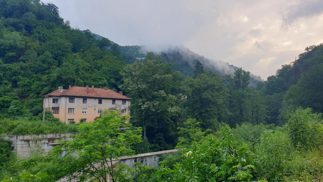 Apartament Casa Arion Băile Herculane Zewnętrze zdjęcie