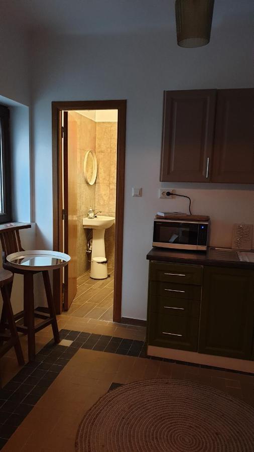 Apartament Casa Arion Băile Herculane Zewnętrze zdjęcie
