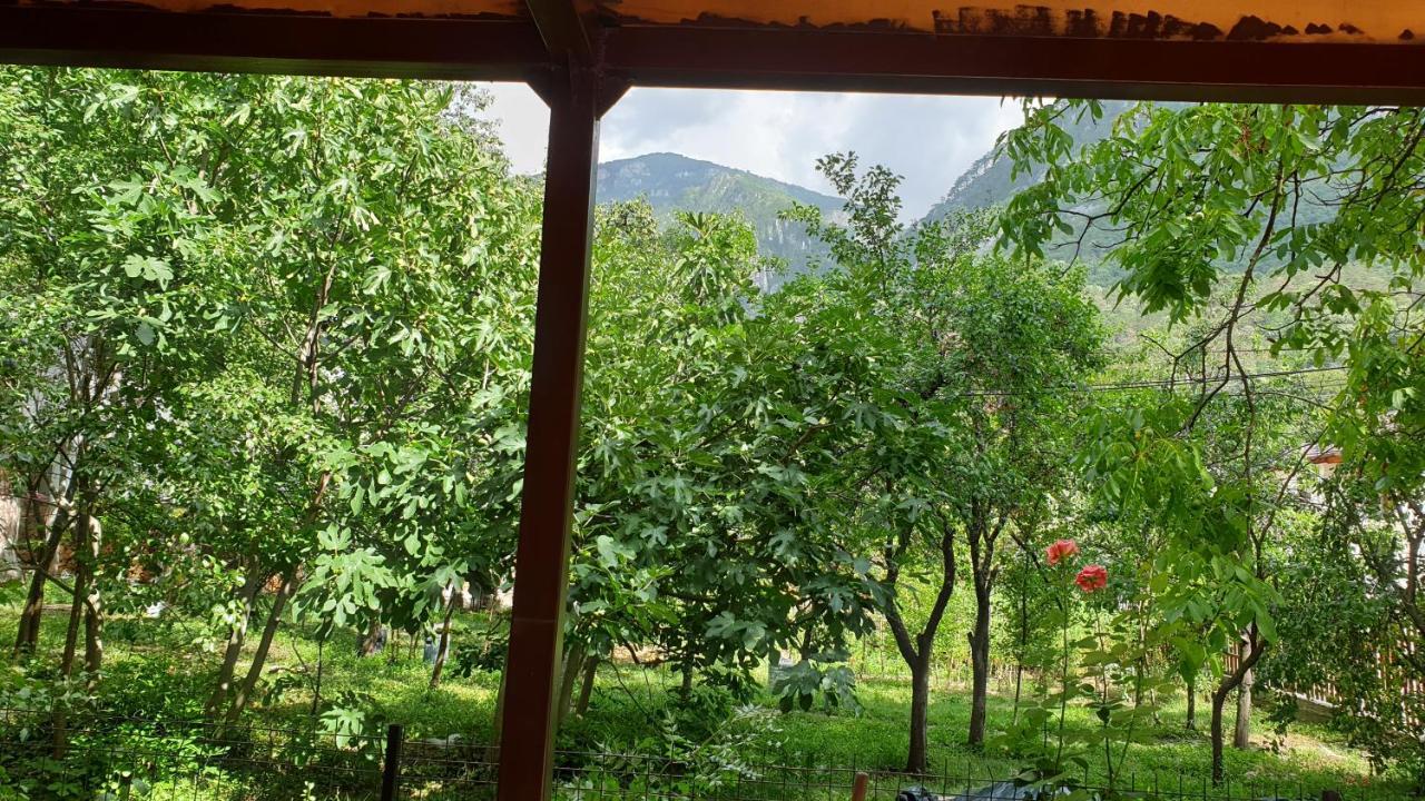 Apartament Casa Arion Băile Herculane Zewnętrze zdjęcie