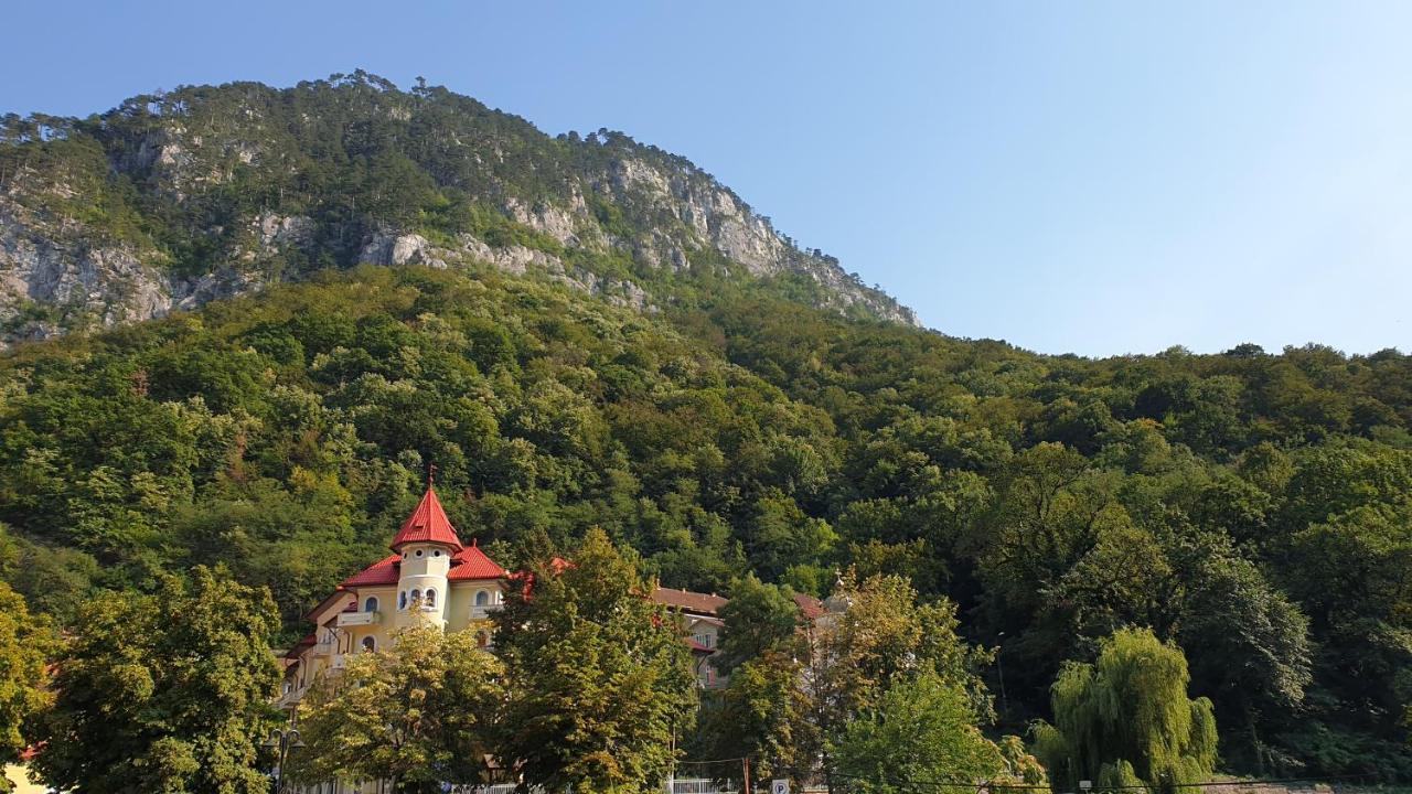 Apartament Casa Arion Băile Herculane Zewnętrze zdjęcie