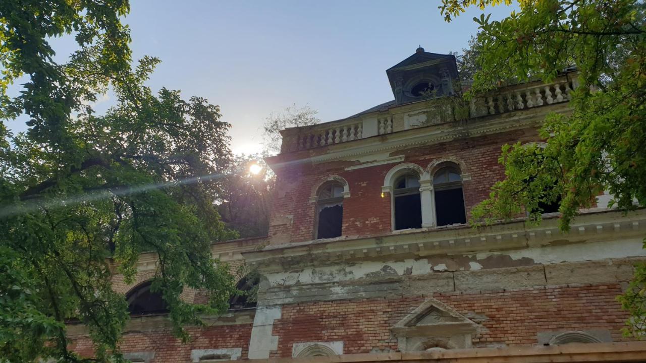 Apartament Casa Arion Băile Herculane Zewnętrze zdjęcie