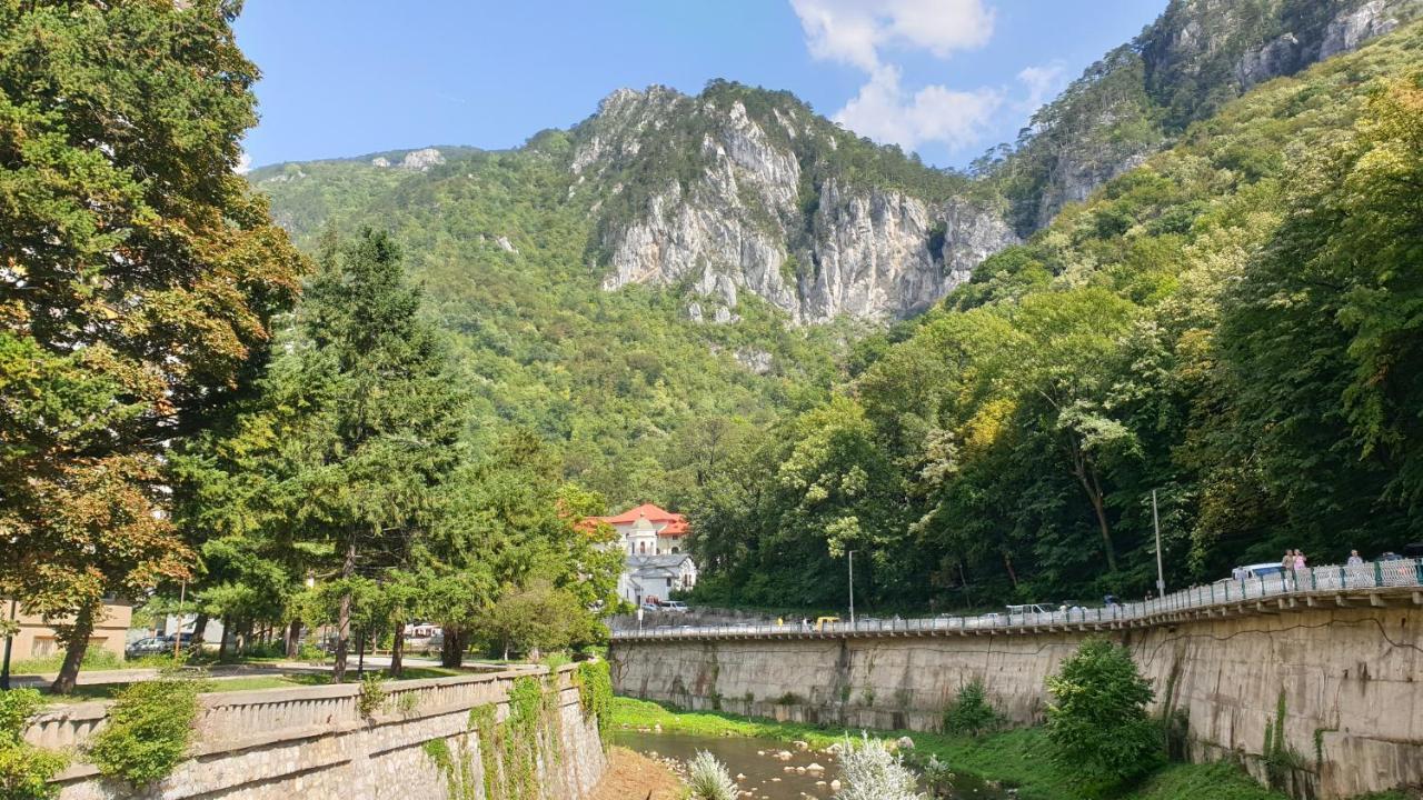 Apartament Casa Arion Băile Herculane Zewnętrze zdjęcie