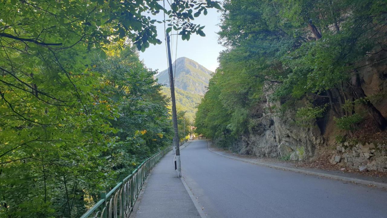 Apartament Casa Arion Băile Herculane Zewnętrze zdjęcie