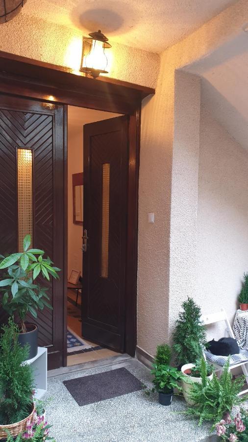 Apartament Casa Arion Băile Herculane Zewnętrze zdjęcie